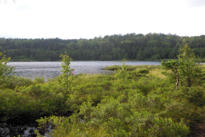 Bilde av NAPPERØDTJERNET NORD.